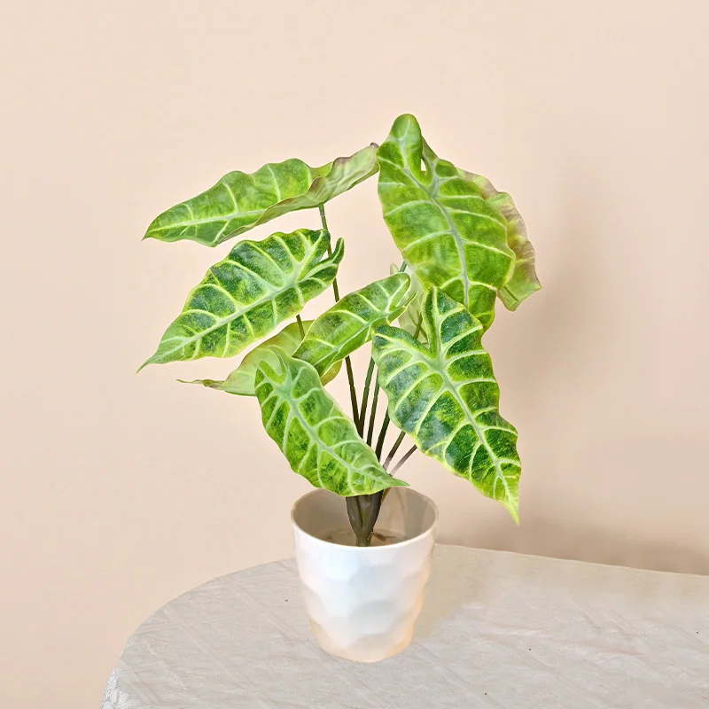 ROMANTIKA 56CM POTTE