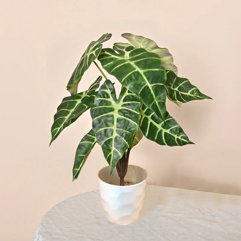 ROMANTIKA 56CM POTTE