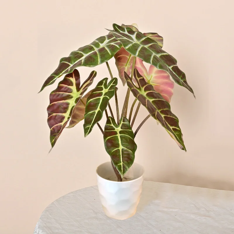 ROMANTIKA 56CM POTTE