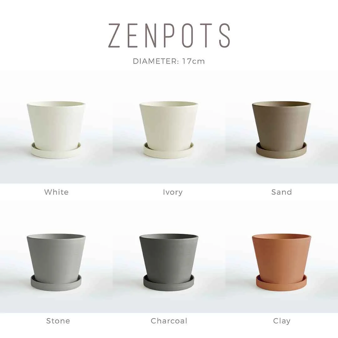 Zenpots 17cm Pot (wi