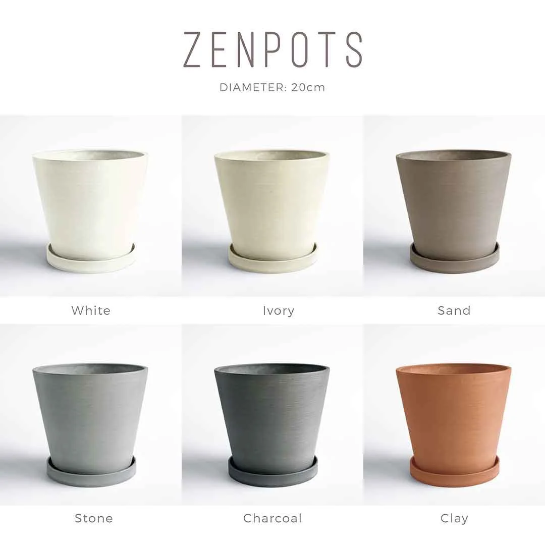 Zenpots 20cm Pot (wi