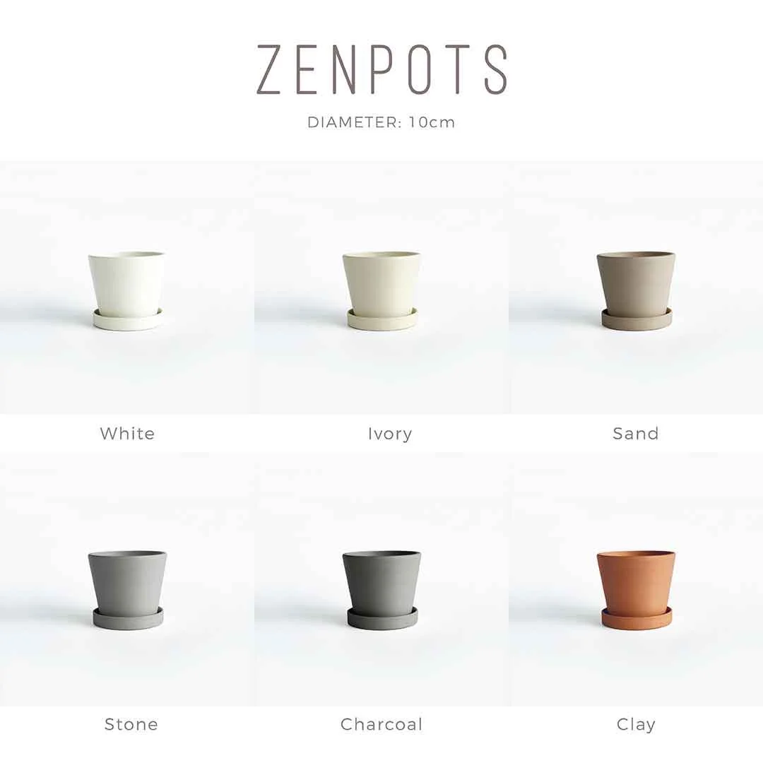 ZENPOTS 10cm Pot (Wi