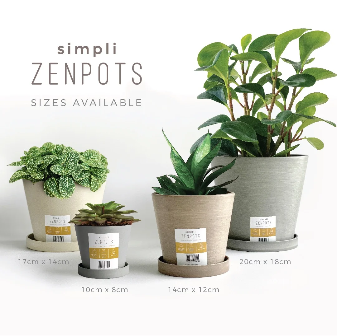 ZENPOTS 10cm Pot (Wi