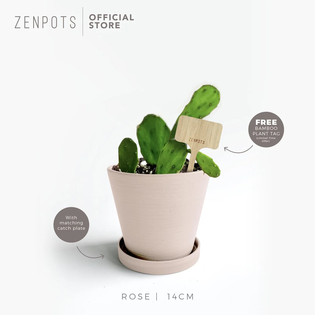 ZENPOTS 14cm Pot (Wi