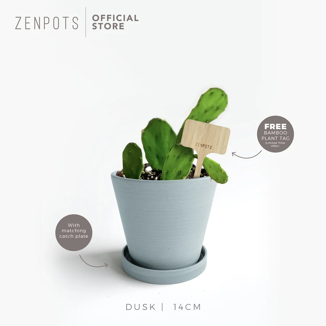 ZENPOTS 14cm Pot (Wi