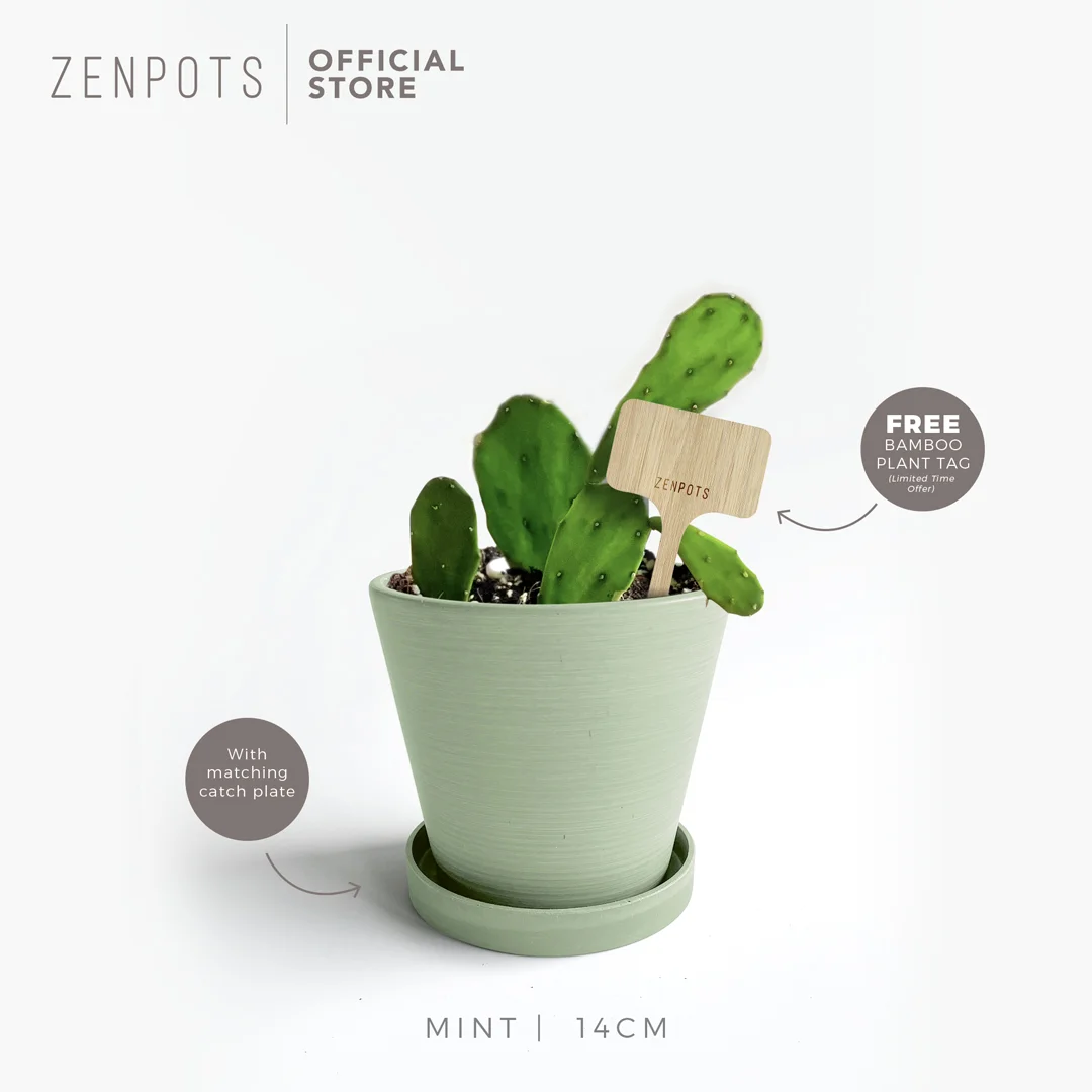 ZENPOTS 14cm Pot (Wi