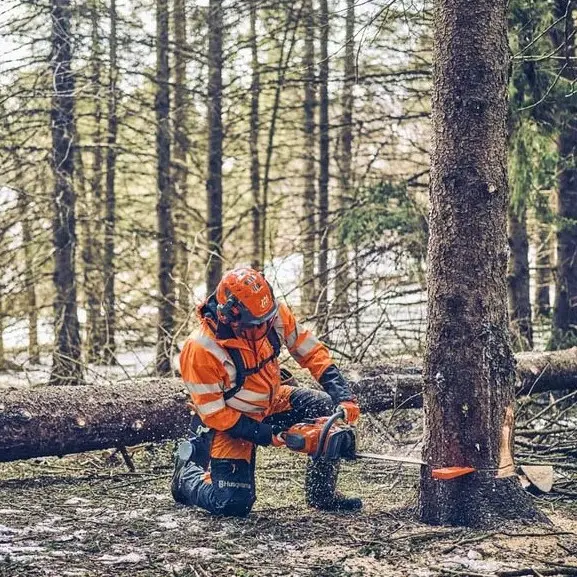 Chainsaw