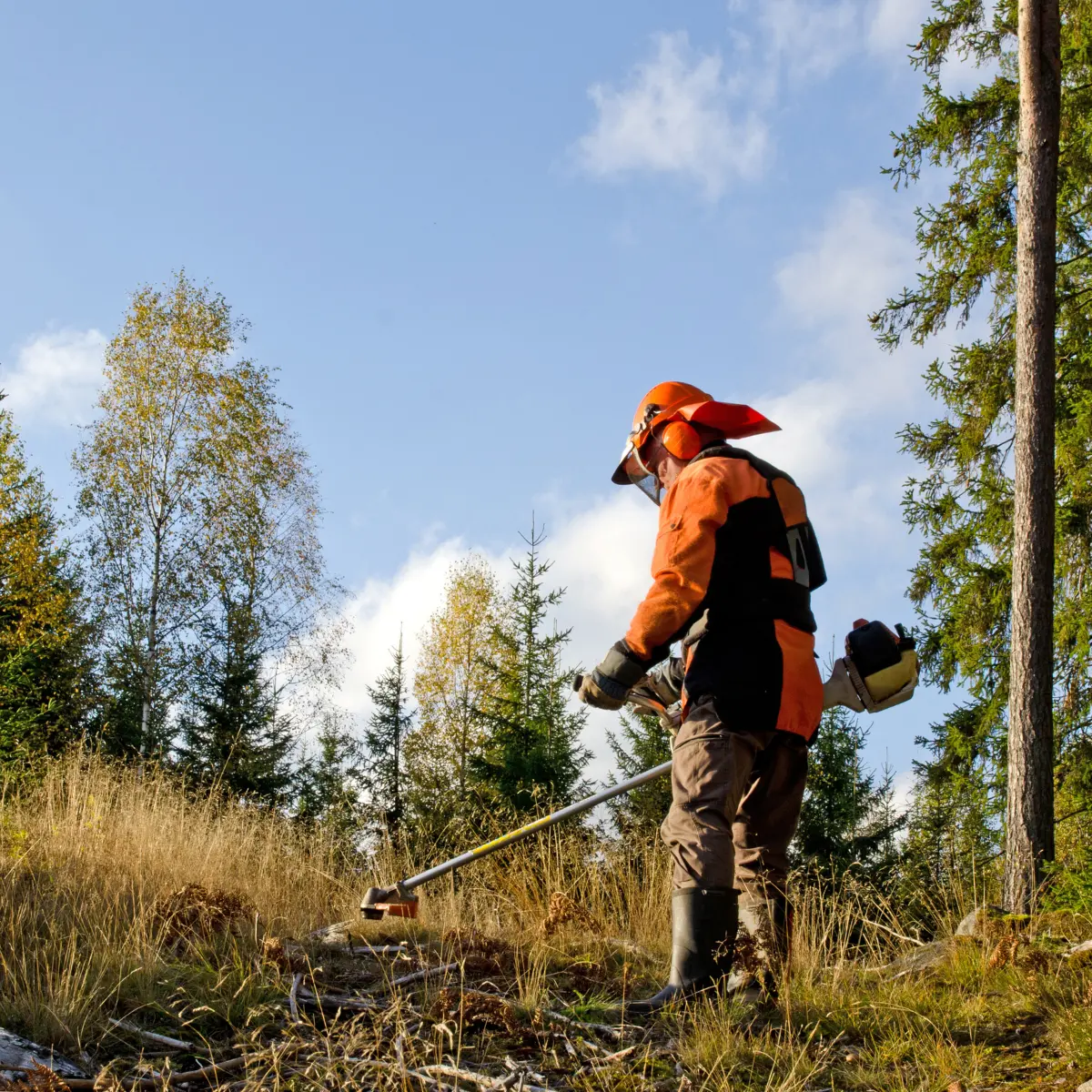 Brush Cutter