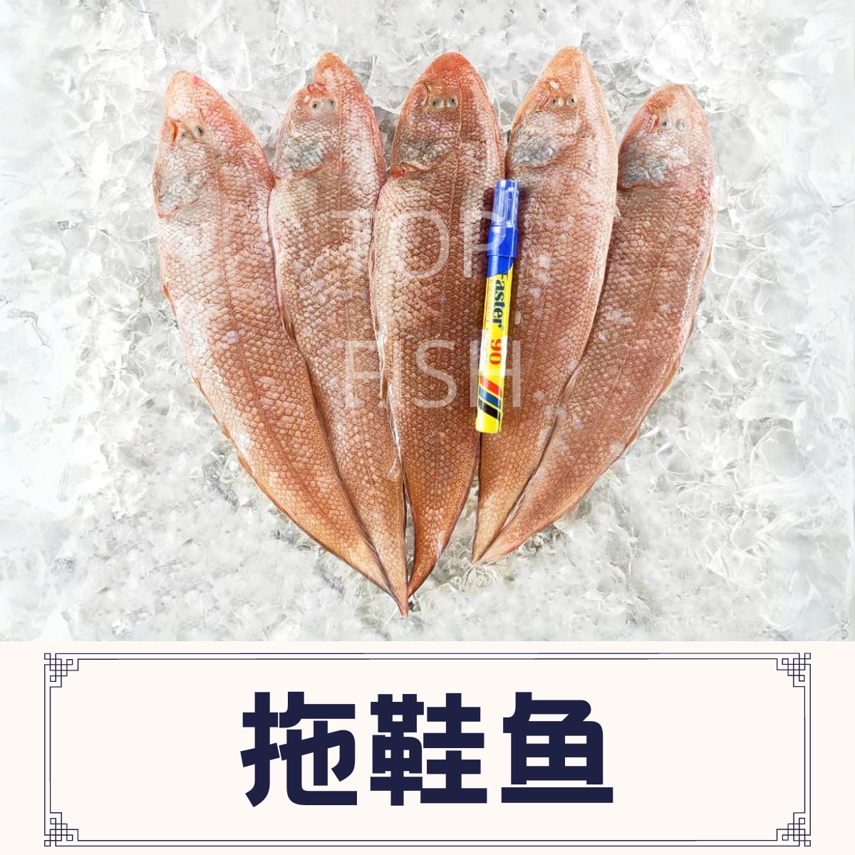 Tongue Fish 龙舌鱼 | Top Fish | Fresh Seafood Delivery in Malaysia From ...