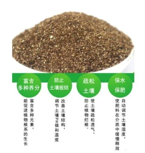 2L Vermiculite Mediu