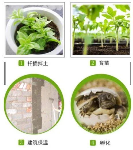 2L Vermiculite Mediu