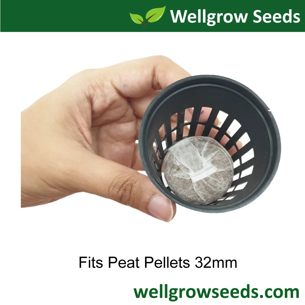 Jiffy Peat Pellets 3