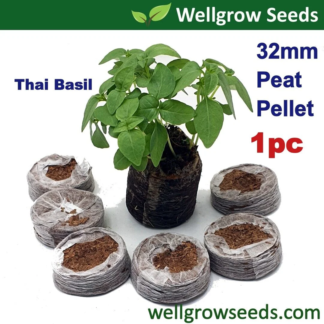 Jiffy Peat Pellets 3