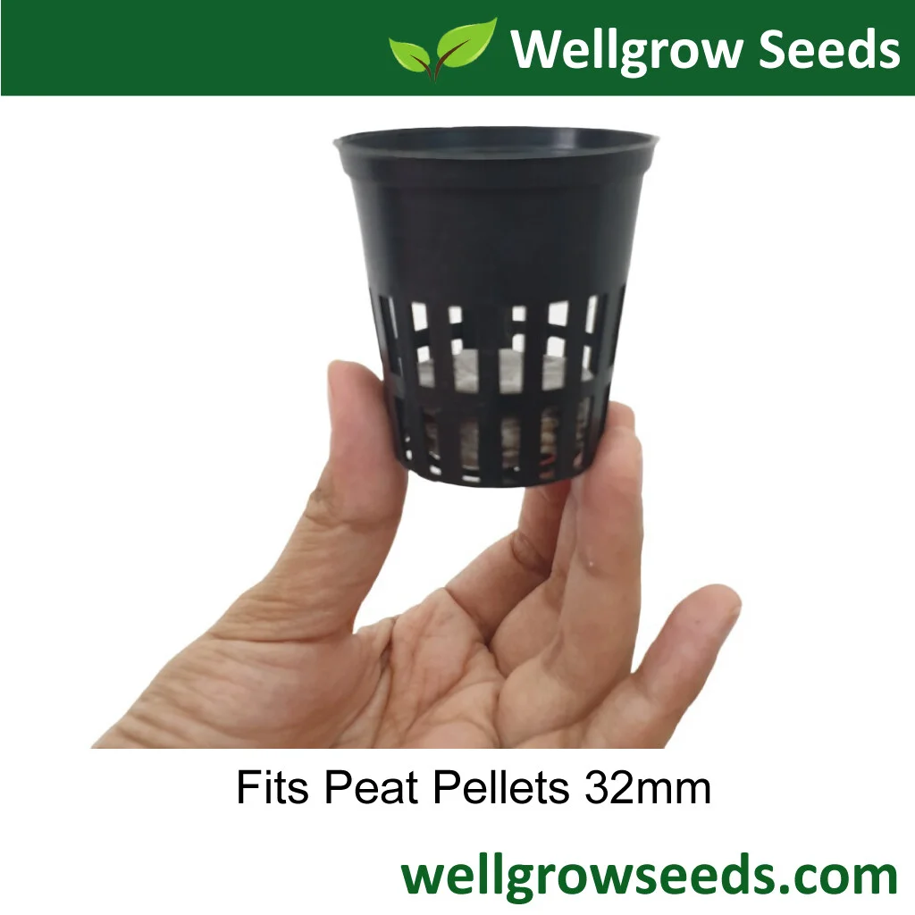 Jiffy Peat Pellets 3