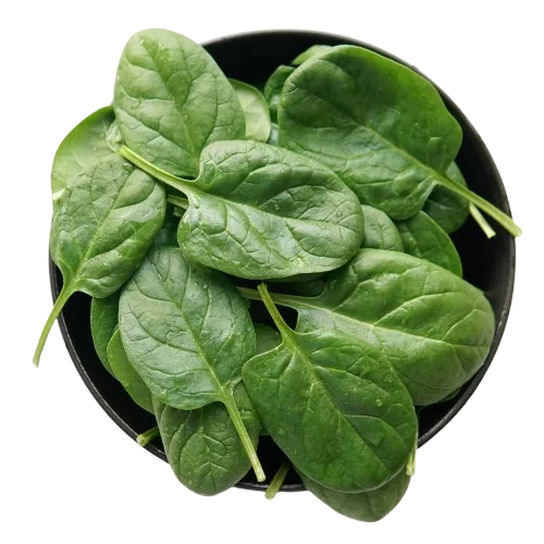 Spinach Space Organi