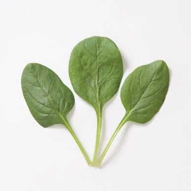 Spinach Space Organi