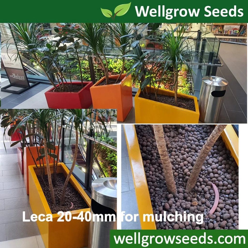 1L Hydrokorrels LECA