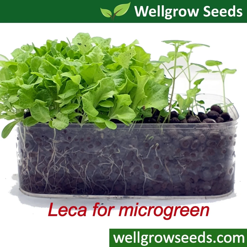 1L Hydrokorrels LECA