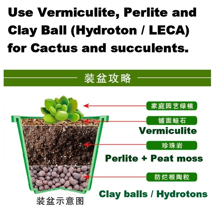 1L Hydrokorrels LECA