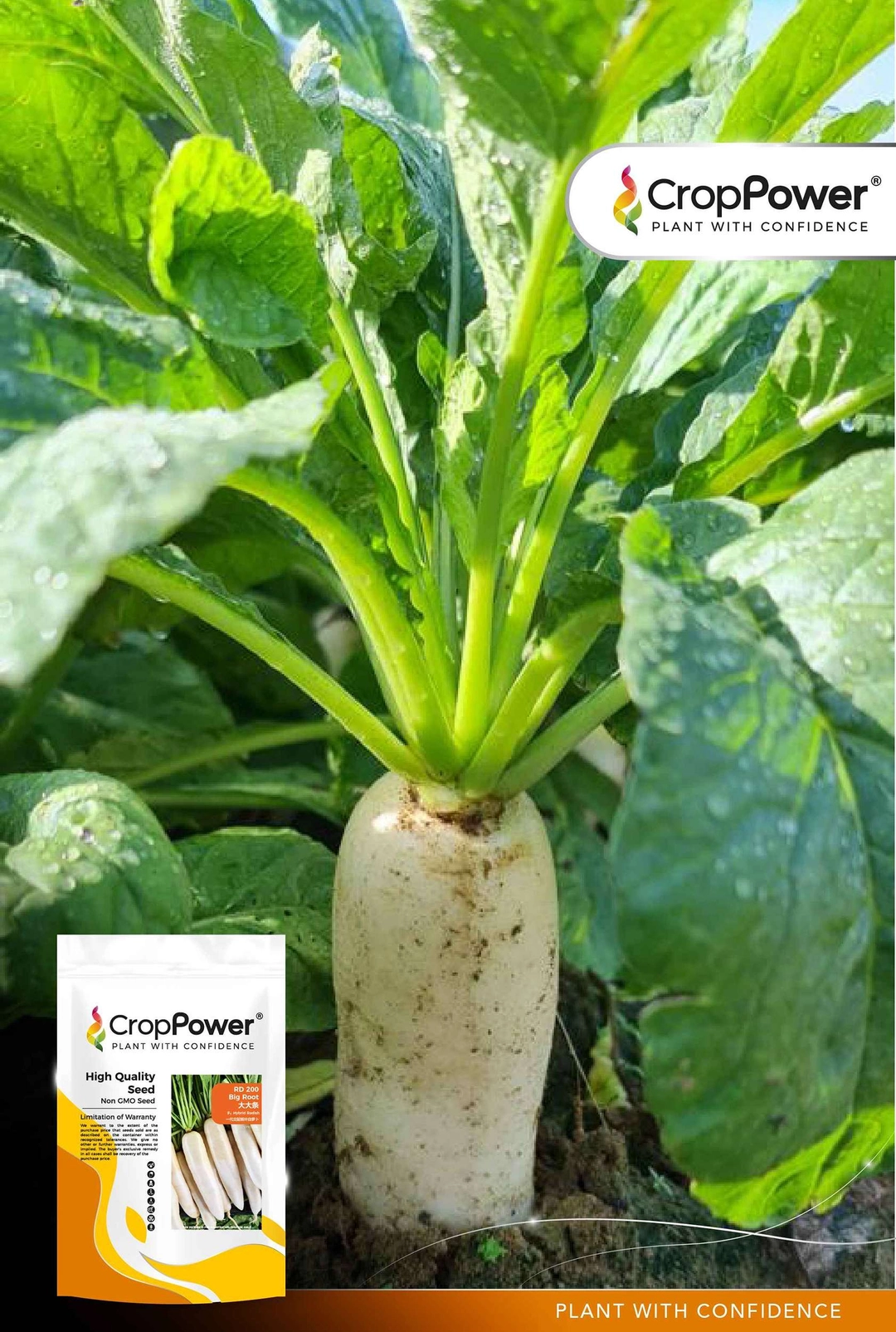 Big Root Promt F1 Radish Big Root RD200 | JOM TANAM | Malaysia #1 Tech-Driven ...